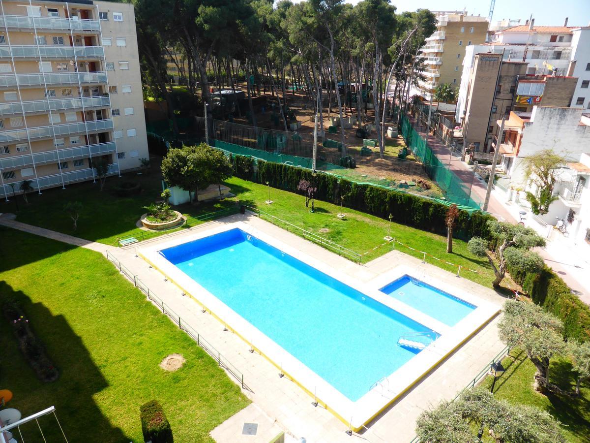 Apartamentos Dms 039 Jardines 萨洛 外观 照片